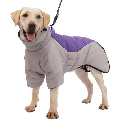 Big Dog Winter Jacket