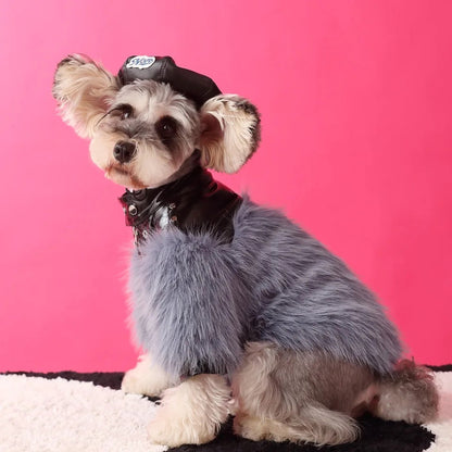 Jupiter Star Dog Jacket