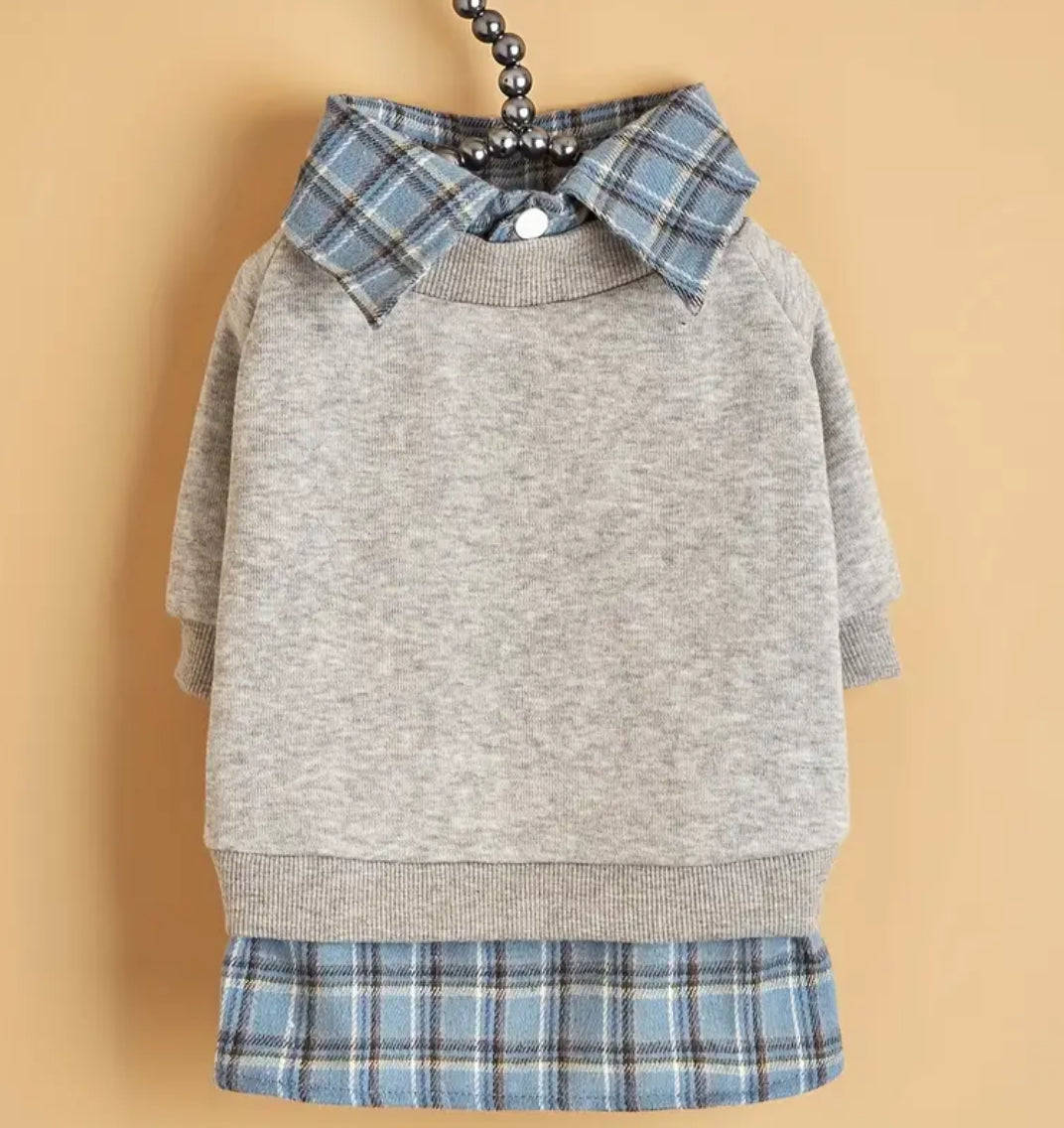 Adam Dog Sweater