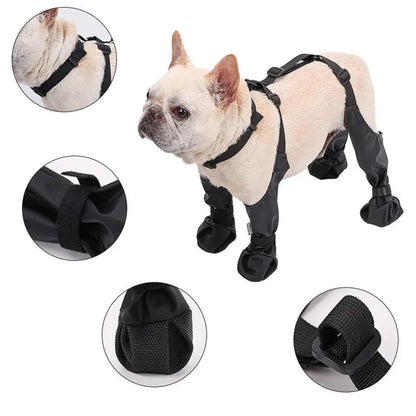 Belted Dog Boots