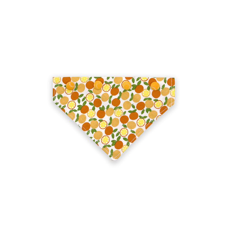 Oranges