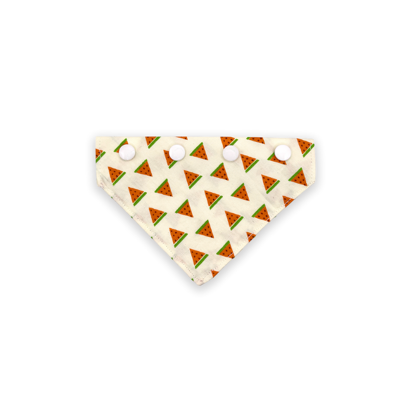 Watermelon Slices
