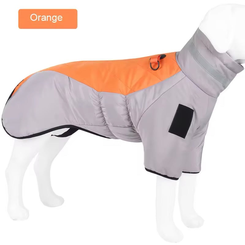 Big Dog Winter Jacket