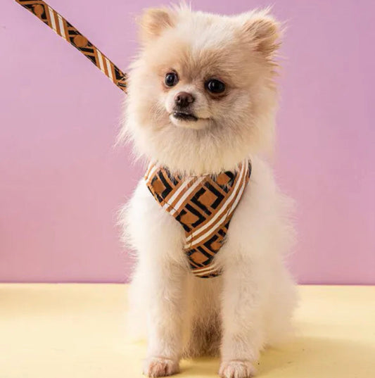 Furendi Dog Harness & Leash Set