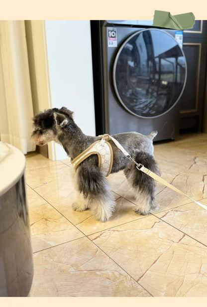 Gigi Dog Harness & Leash Set