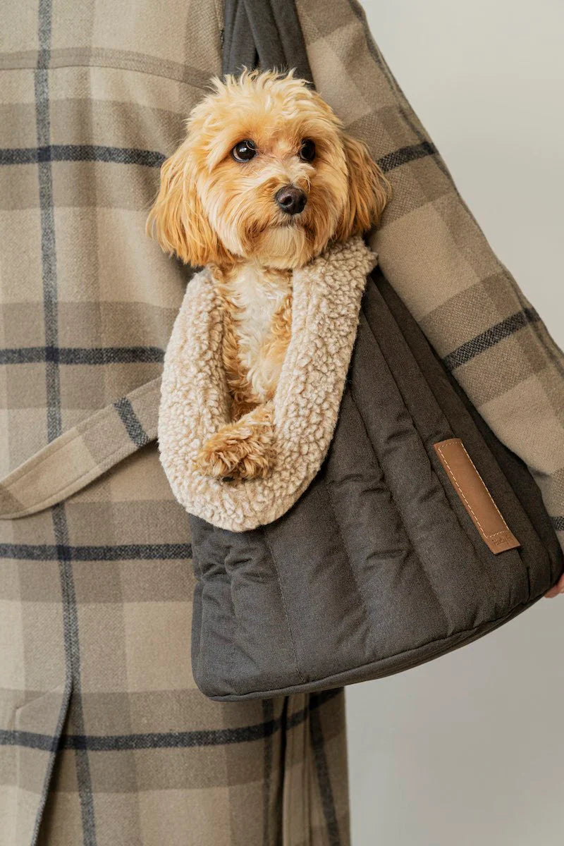 Bailey Dog Carrier