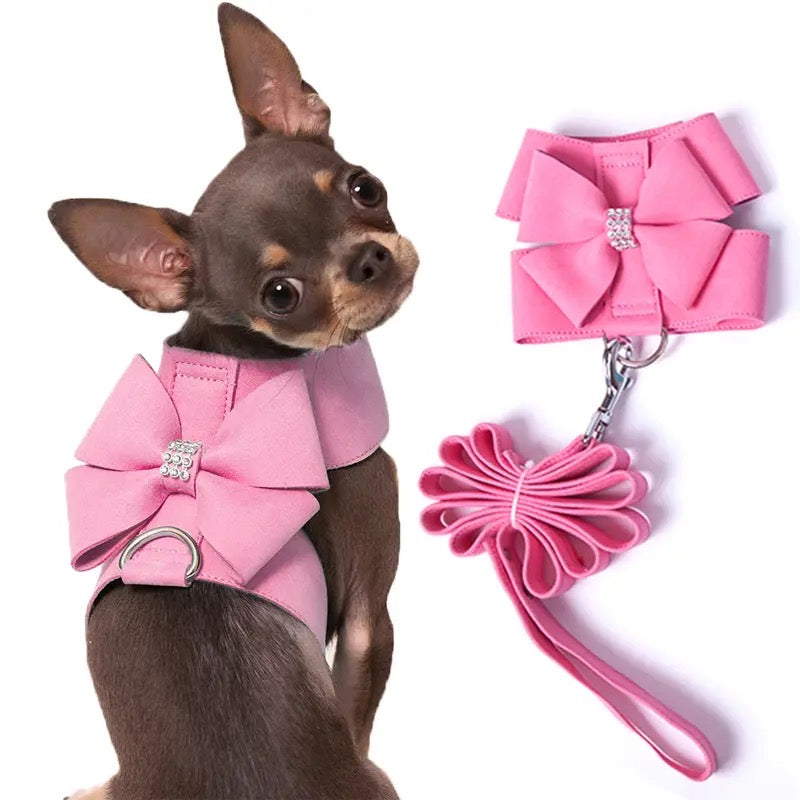 Pawrbie Harness & Leash Set
