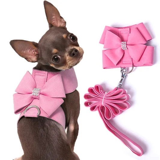 Pawrbie Harness & Leash Set