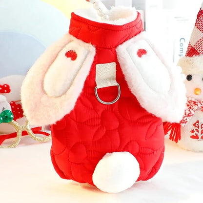 Bunny Jacket