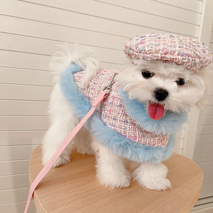 Bubble Gum Harness & Leash & Hat Fashion Walking Set