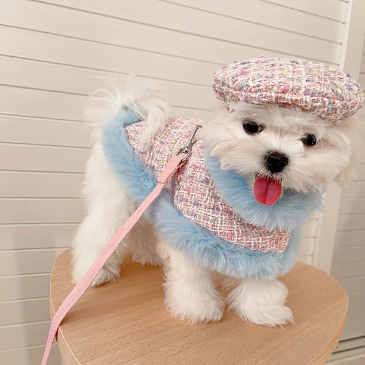 Bubble Gum Harness & Leash & Hat Fashion Walking Set