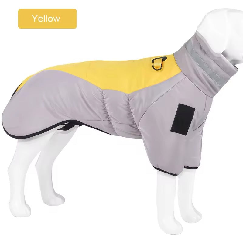 Big Dog Winter Jacket