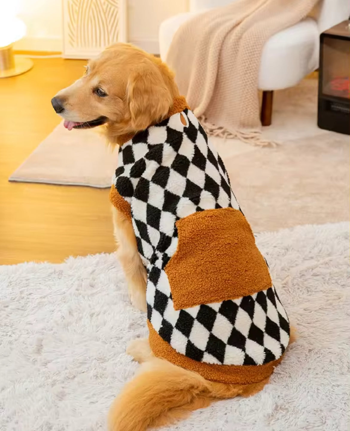Charlie Charlie Dog Sweater