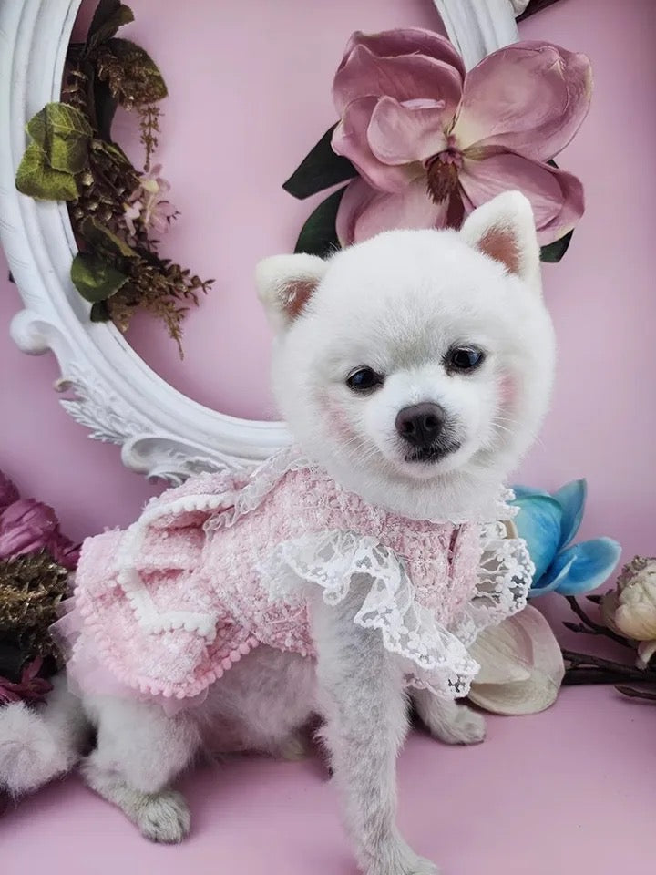 Queens Couture Dress