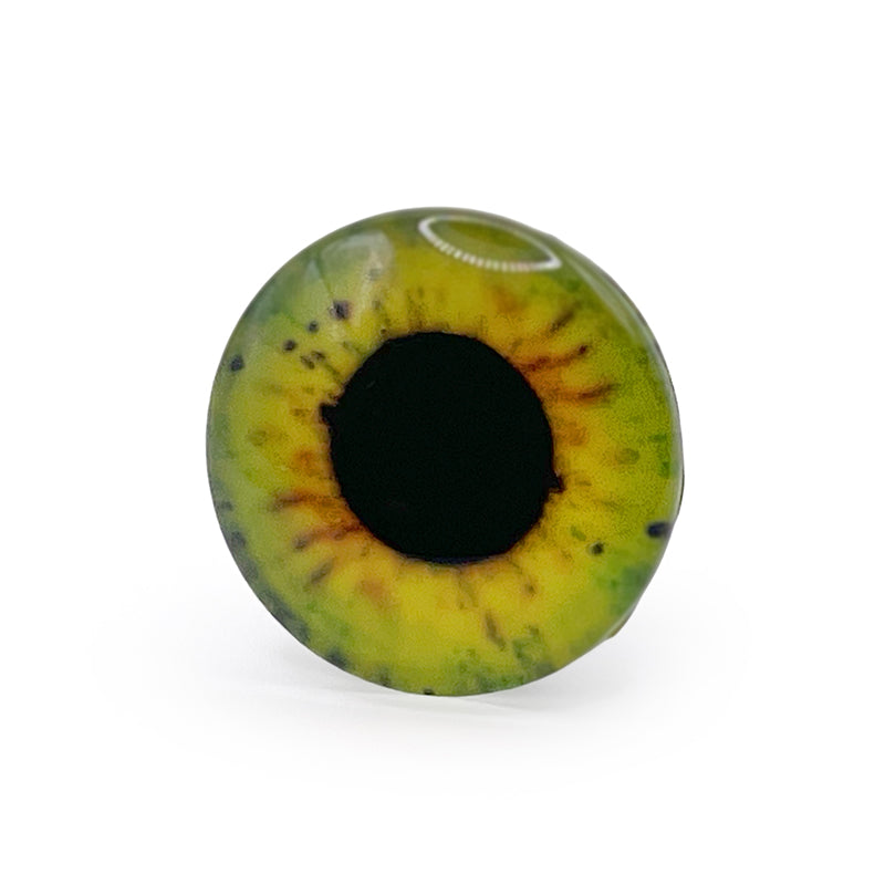 Dragon Eye