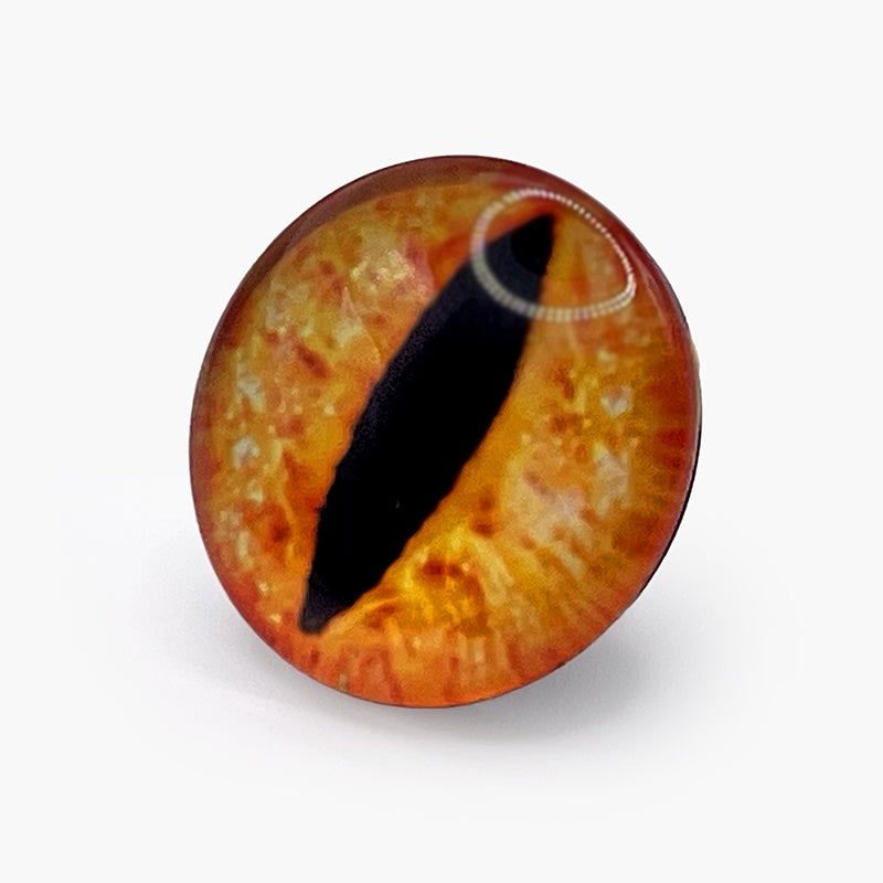 Dragon Eye