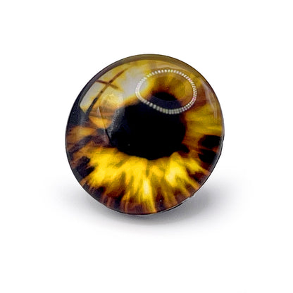 Dragon Eye