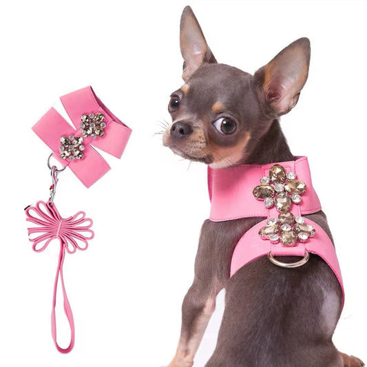 Brittany Dog Harness & Leash Set