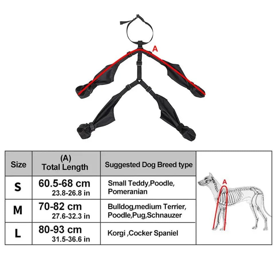 Belted Dog Boots