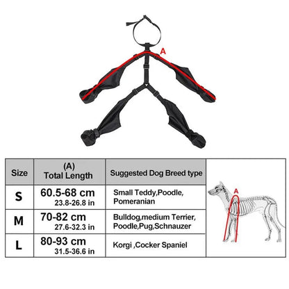 Belted Dog Boots