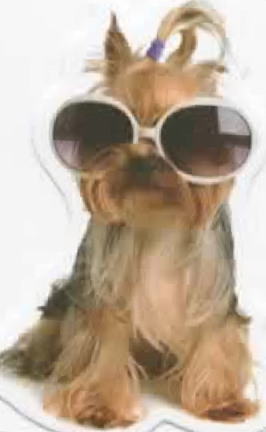 Wacky Dogs