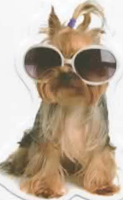 Wacky Dogs