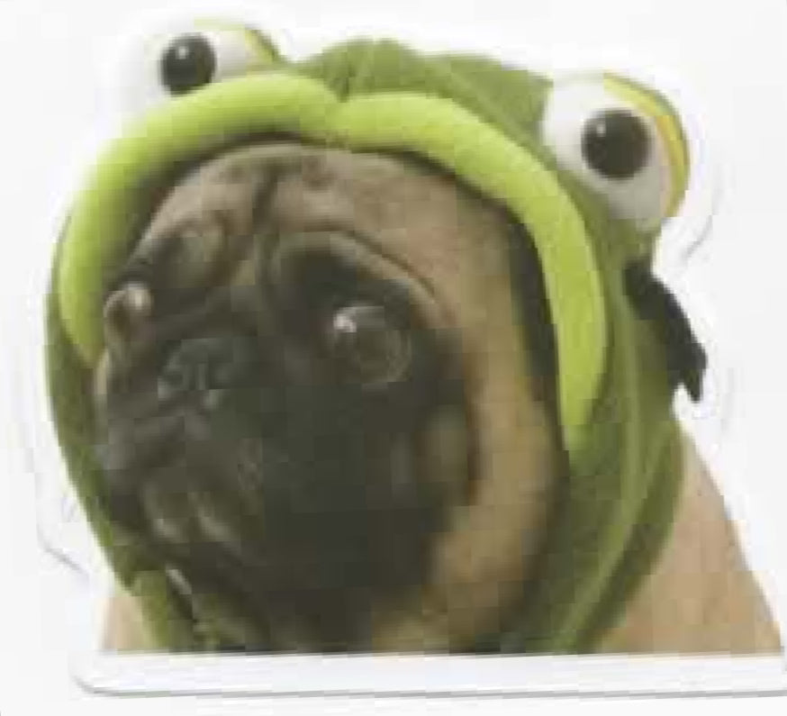 Wacky Dogs