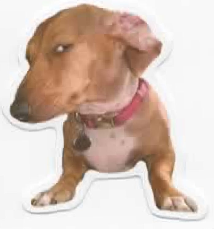 Wacky Dogs