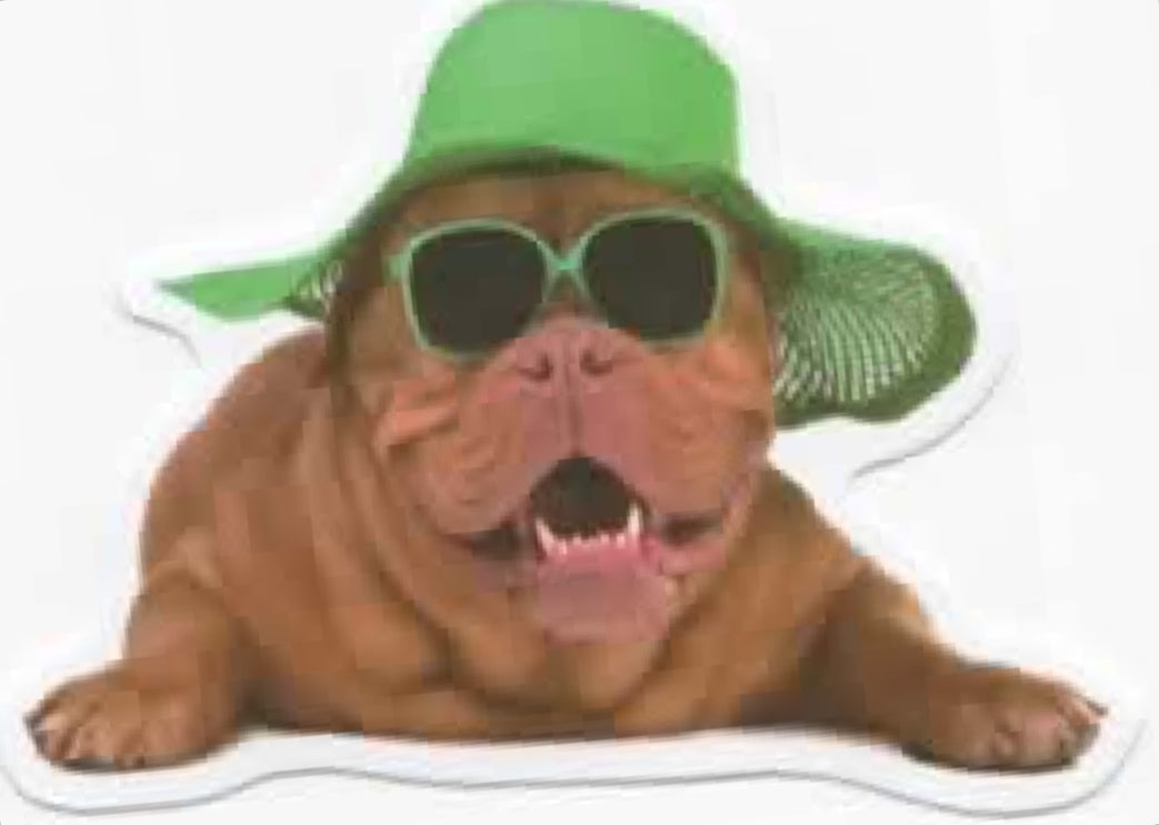 Wacky Dogs
