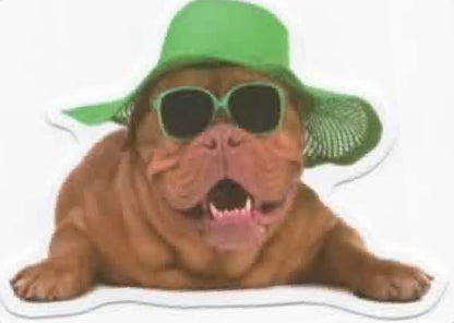 Wacky Dogs