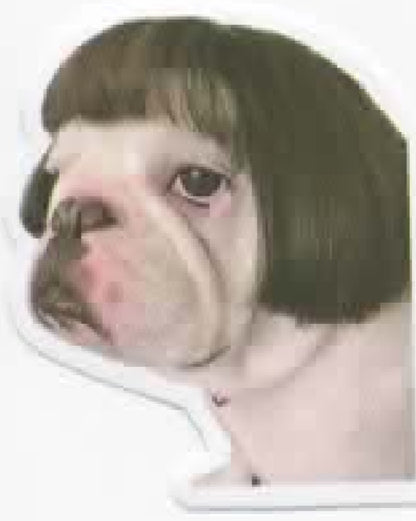 Wacky Dogs