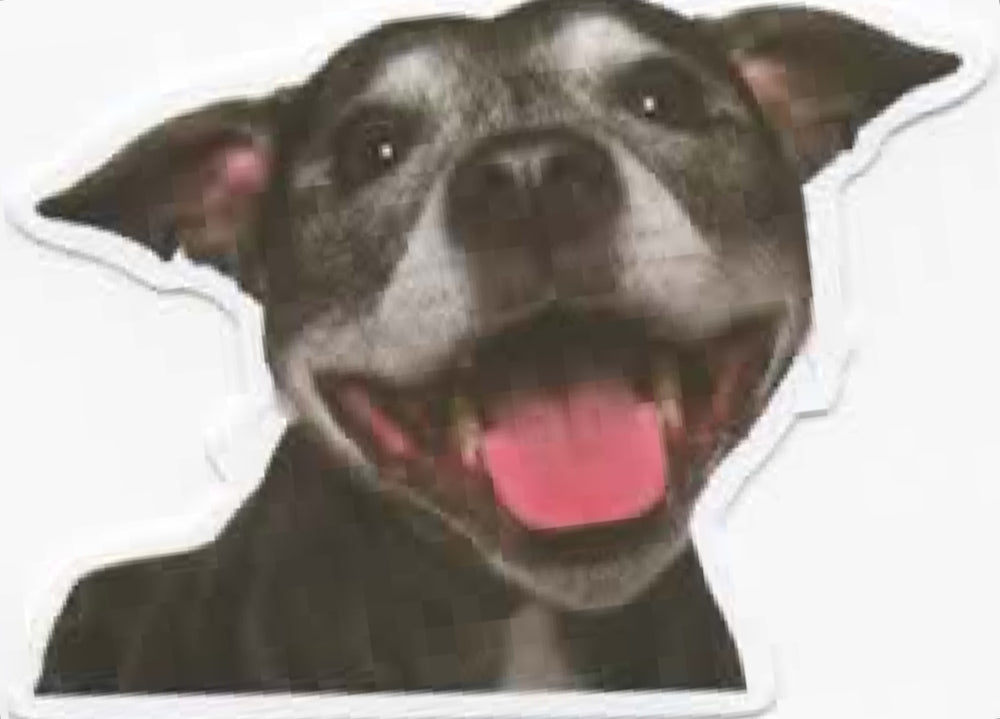 Wacky Dogs