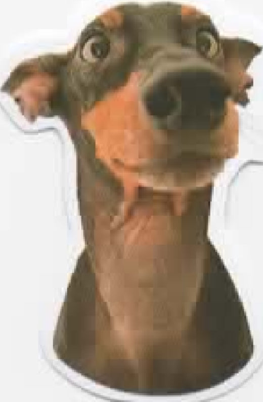 Wacky Dogs