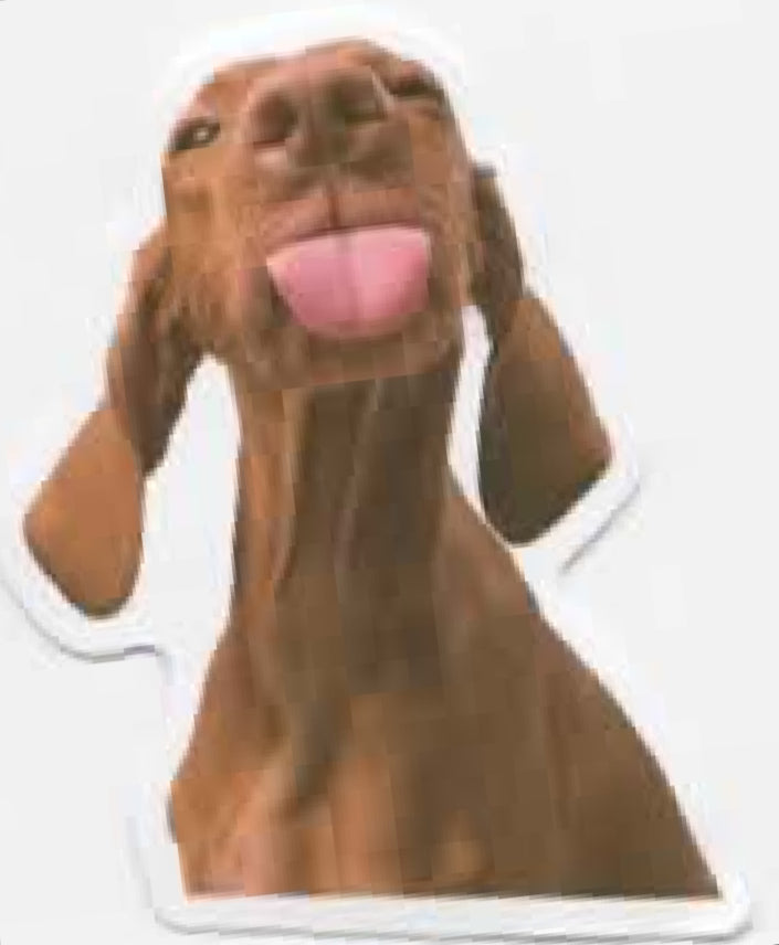 Wacky Dogs
