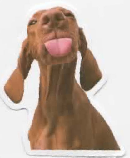 Wacky Dogs