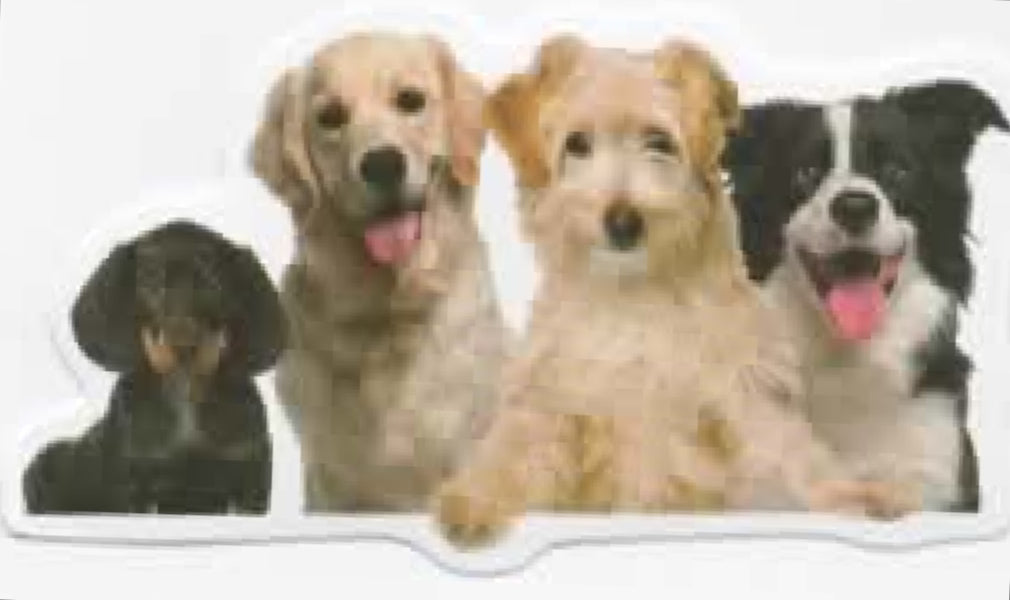 Wacky Dogs