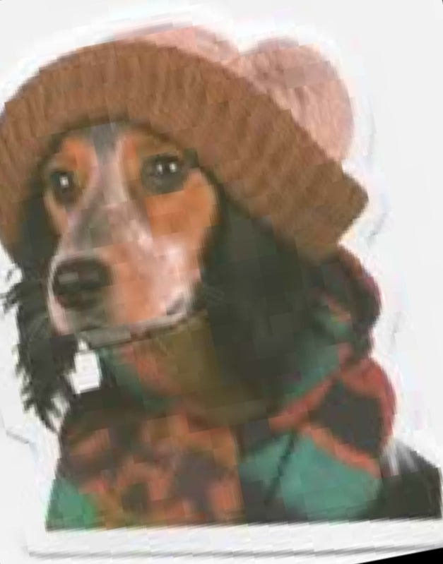 Wacky Dogs
