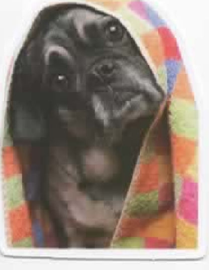 Wacky Dogs