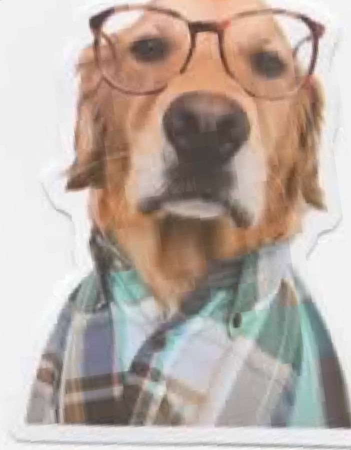 Wacky Dogs