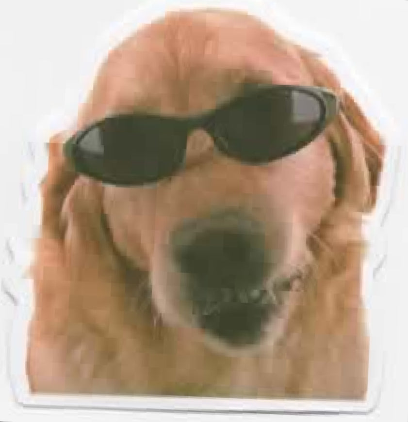 Wacky Dogs
