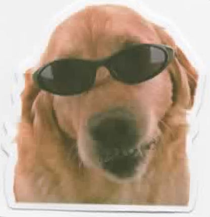 Wacky Dogs