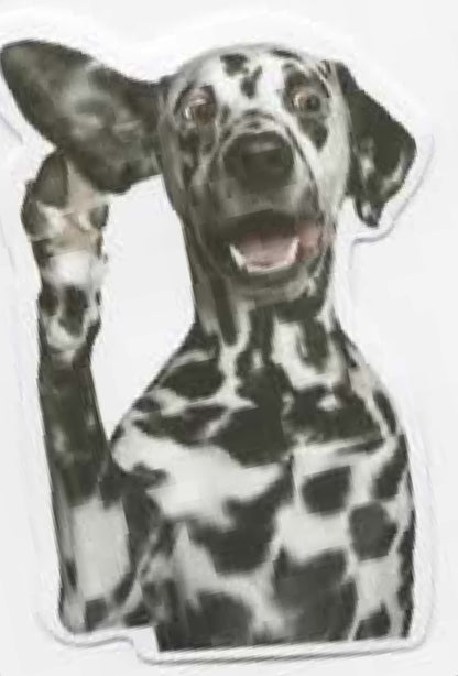 Wacky Dogs