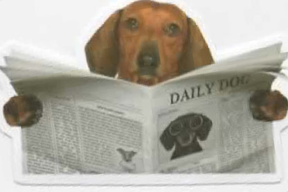 Wacky Dogs