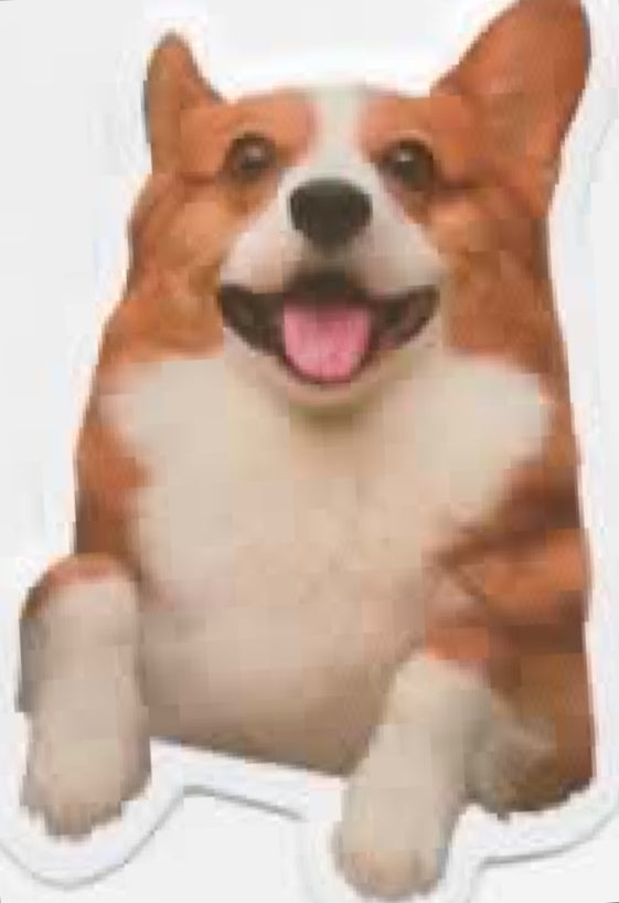 Wacky Dogs