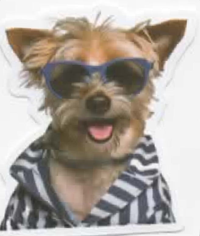 Wacky Dogs