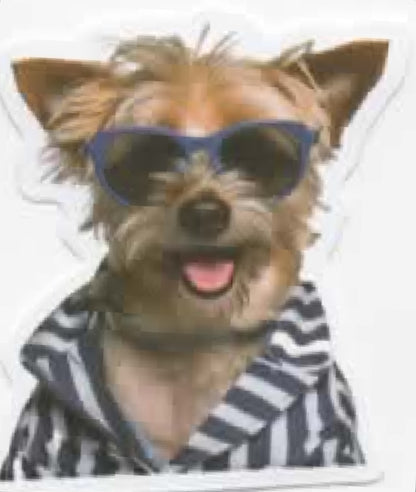 Wacky Dogs