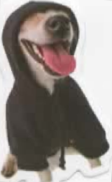 Wacky Dogs