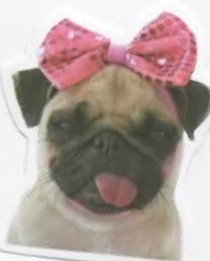 Wacky Dogs