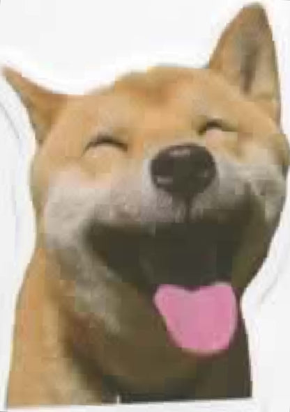 Wacky Dogs