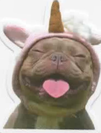 Wacky Dogs